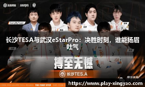 长沙TESA与武汉eStarPro：决胜时刻，谁能扬眉吐气